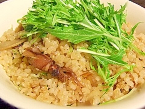 玄米でつくる★蛍烏賊とシャキシャキ水菜の炒飯